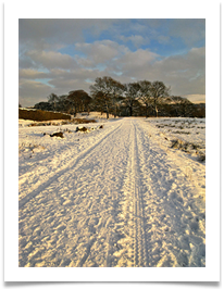 07_Winter in Cheshire print - Anne Tidswell